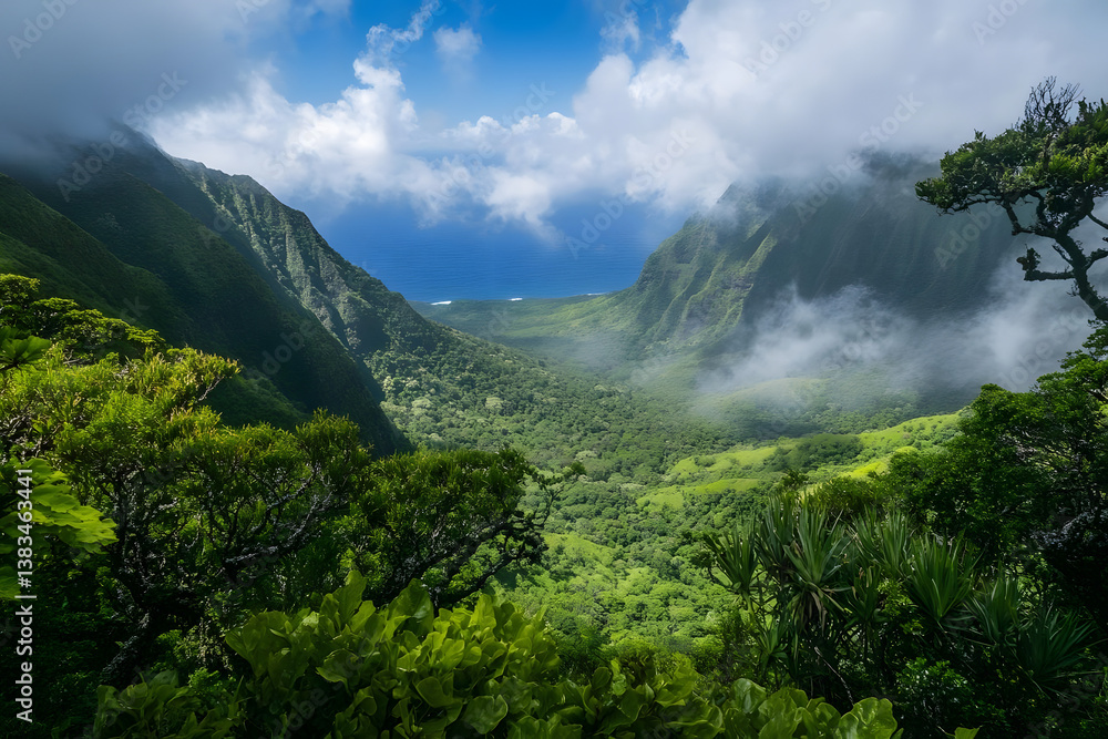 Obraz premium Ocean View Lush Valley, Green Mountains
