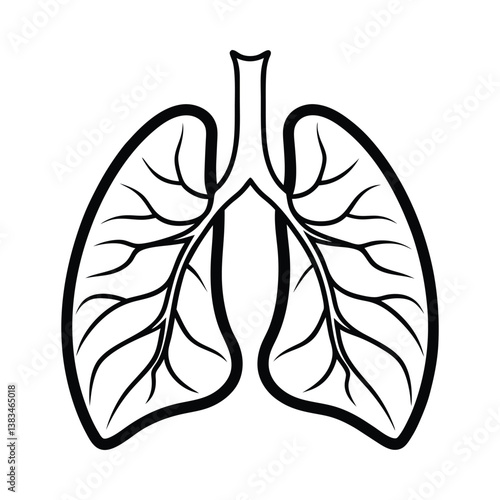 human Lungs vector art
