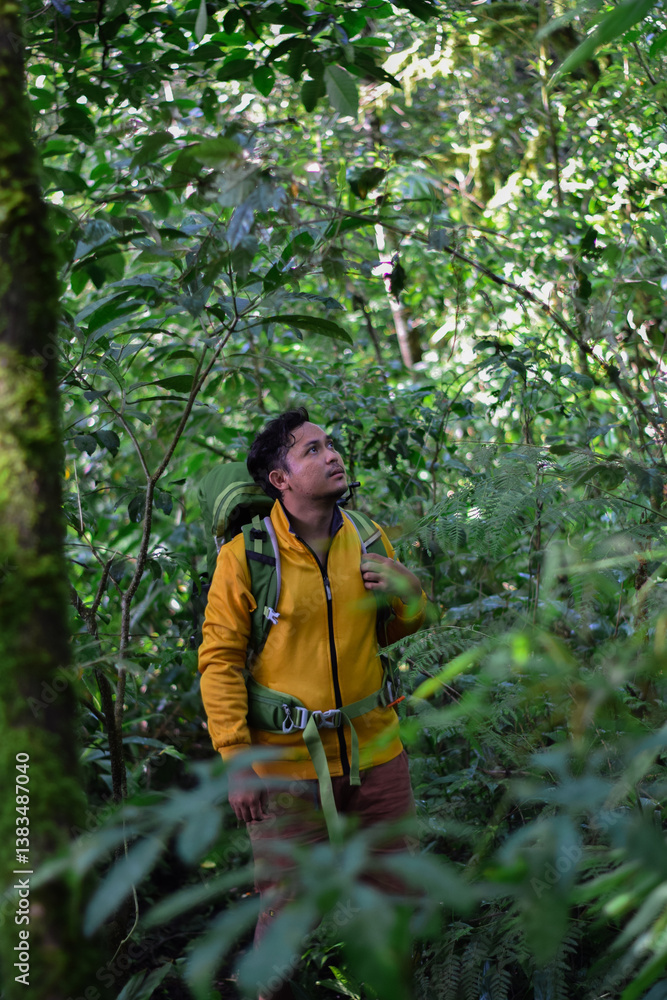 Southeast asian Indonesian hiker in a yellow jacket exploring the forest Southeast asian Indonesian hiker in a yellow jacket exploring the forest