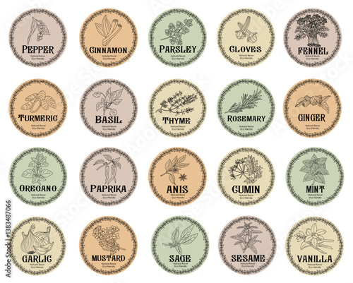 Pantry spice jar seasoning label sticker organizer set. Cardboard food labels or stickers for kitchen food containers with spices. Labels, stickers, craft decals, floral frame and spice name