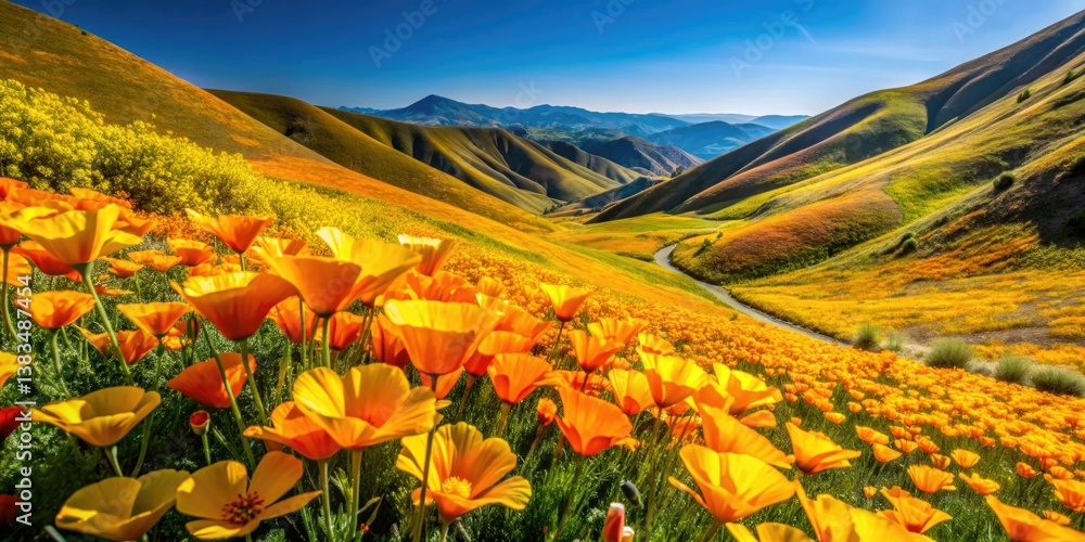 Fototapeta premium California's golden spring: a poppy superbloom explodes across Riverside County hills, a breathtaking sight.