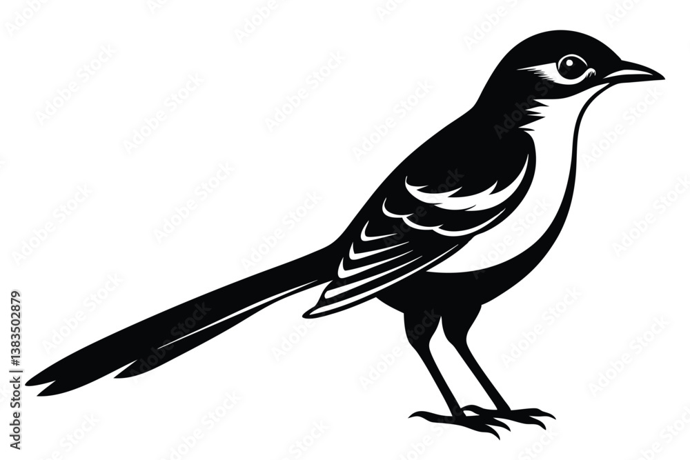 Obraz premium Striking Black & White Silhouette Magpie 
