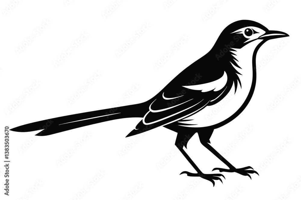 Obraz premium Minimalist Black and White Bird Illustration, Detailed Plumage, 