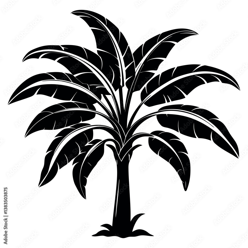 palm tree silhouette vector palm tree silhouette vector
