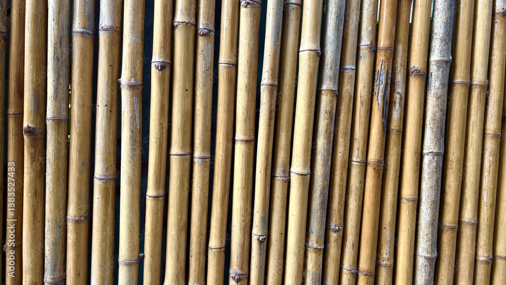 Fototapeta premium Close up bamboo texture , background image.