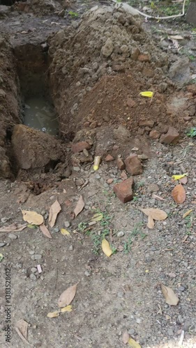 Wallpaper Mural old stump in the forest Torontodigital.ca