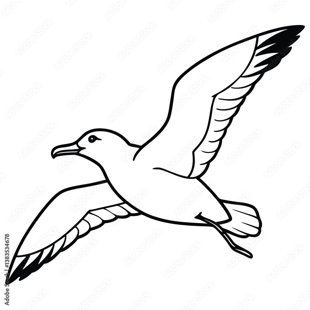 vector illustration of a dove vector illustration of a dove