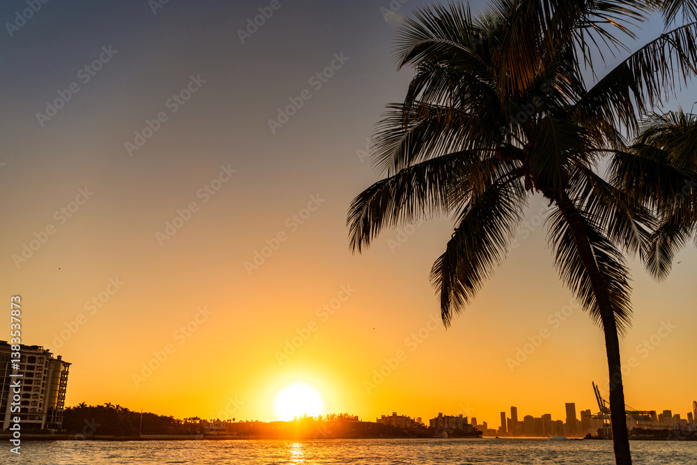 Fototapeta premium Miami sunset. Skyscraper building. Cityscape sunset with building. City architecture. Palm and sunrise. Summer vacation. Miami skyline. Sunrise of Miami cityscape. City skyline view with palm tree