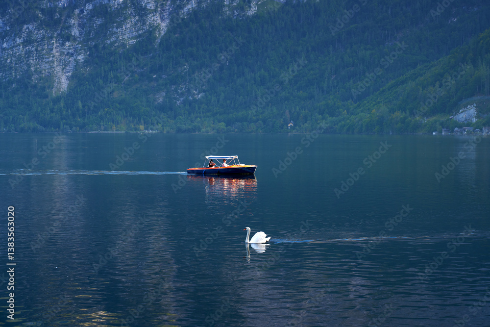 Obraz premium Hallstatt, Austria – September 28, 2023 - Tranquil Boat and Swan on Hallstätter See Austria. People on a tranquil boat ride as a swan glides by on Lake Hallstatt or Hallstätter See in Austria.