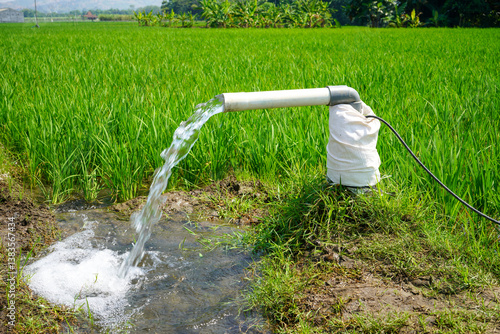 Irrigation of rice fields using pump wells with the technique of pumping water from the ground to flow into the rice fields. The pumping station where water is pumped from a irrigation canal system.	