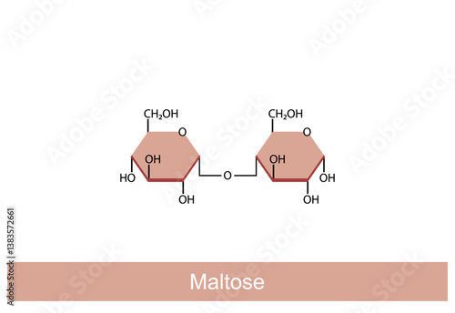 Maltose Disaccharide Molecule. Glucose Sugar units. Scientific Diagram. Vector Illustration.	
