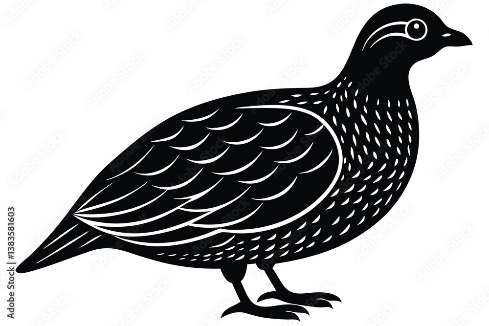 Fototapeta premium Bobwhite quail vector design silhouette, quail bird silhouette vector illustration design.