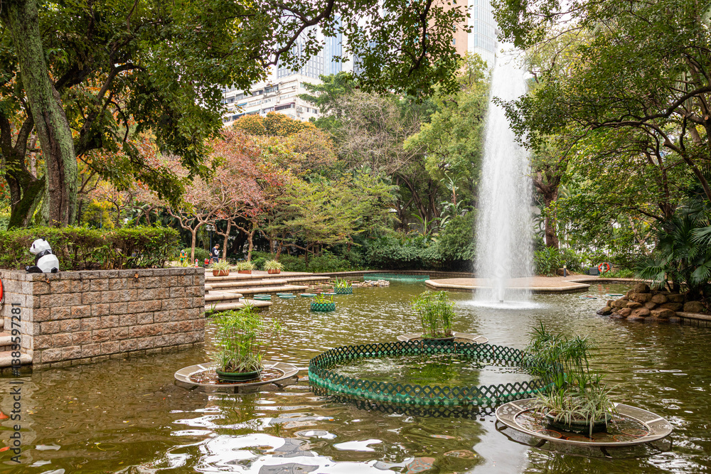 The lotus pond in Kowloon Park, Kowloon, Hong Kong, China