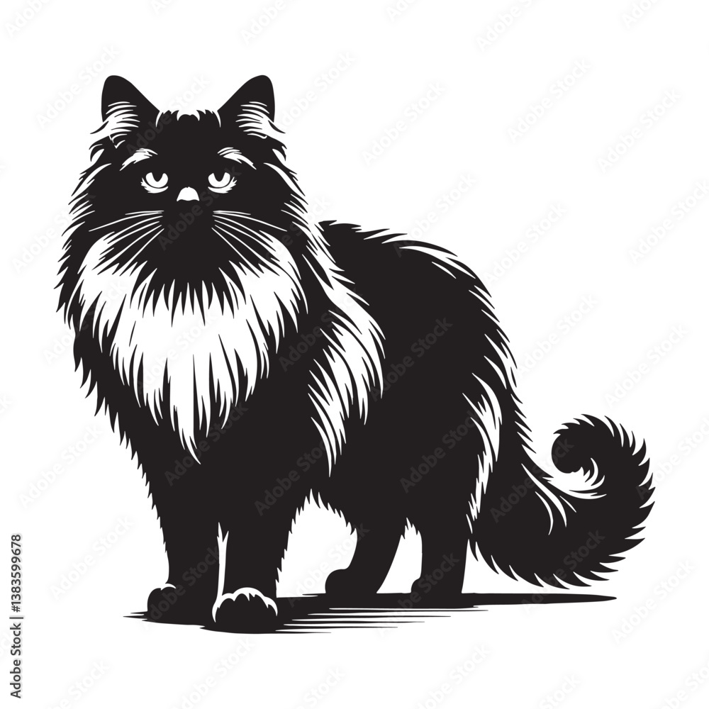 Obraz premium Chic Ragdoll silhouette, showcasing its stylish and elegant look – Ragdoll illustration – Ragdoll vector – cat silhouette