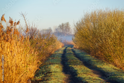 Fototapeta Naklejka Na Ścianę i Meble -  Wiosenny poranek ze słońcem i mgłami, Stawy Dojlidzkie, Podlasie