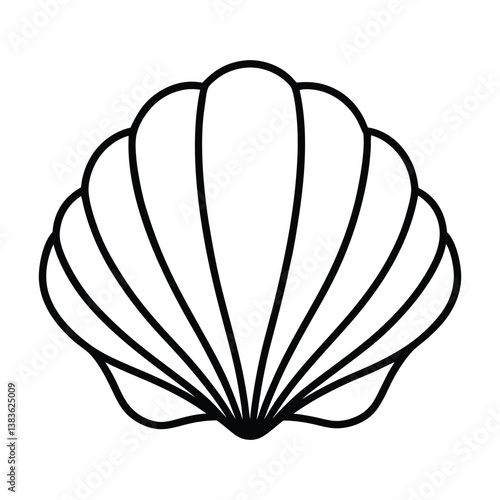 seashell vector illustration