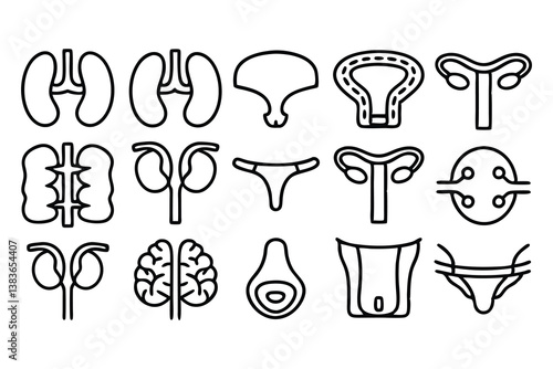 urology and urinary system related editable stroke