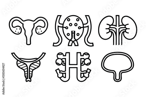urology and urinary system related editable stroke
