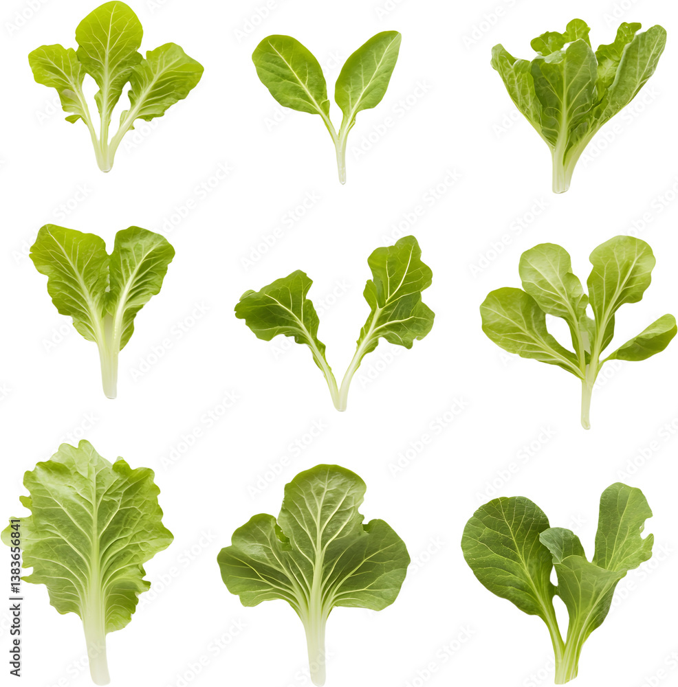 A set of green vegetables A set of green vegetables