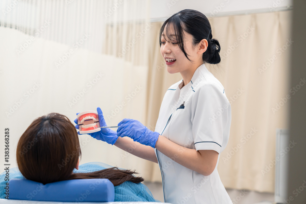 Obraz premium 歯の模型を使って患者に説明をする歯科助手の女性