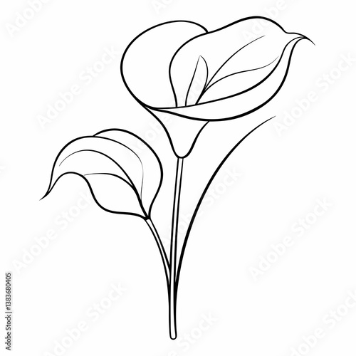Calla Lily Flower Plant Outline Coloring Book Page