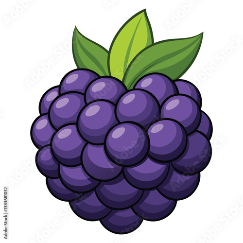 Blackberry vector in white background