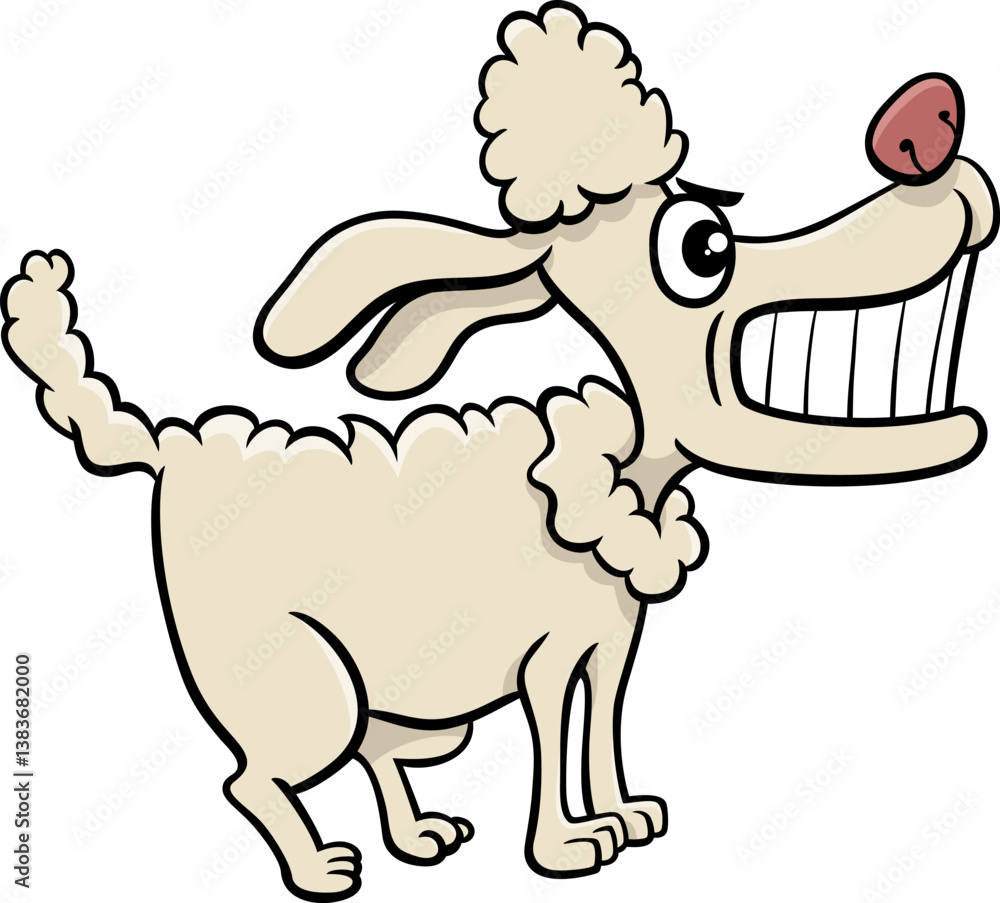 funny cartoon angry poodle purebred dog