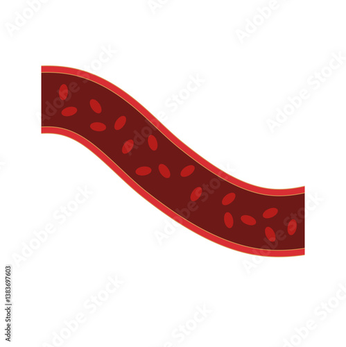 Normal blood vein artery. Blood  circulation in vessel. Vector illustration.