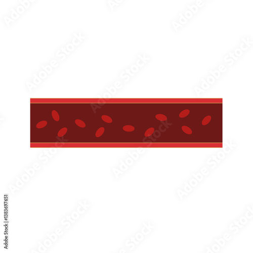 Normal blood vein artery. Blood  circulation in vessel. Vector illustration.