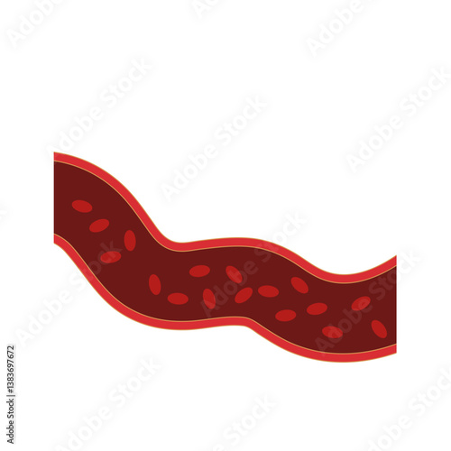Normal blood vein artery. Blood  circulation in vessel. Vector illustration.