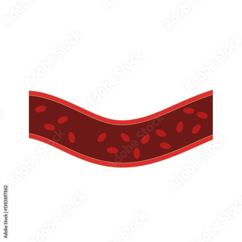 Normal blood vein artery. Blood  circulation in vessel. Vector illustration.