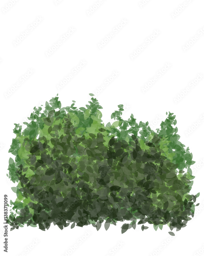 Obraz premium Bush