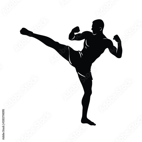 Silhouette of a Kickboxer Action.