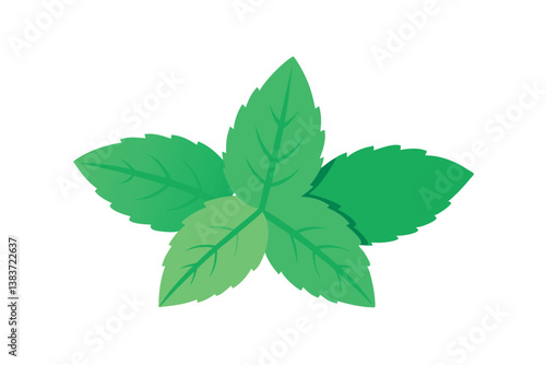 mint leaves isolated on white background