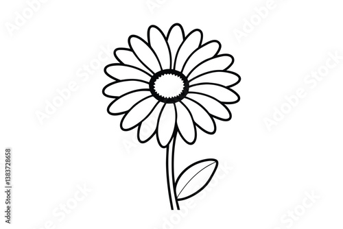 daisey flower on white background
