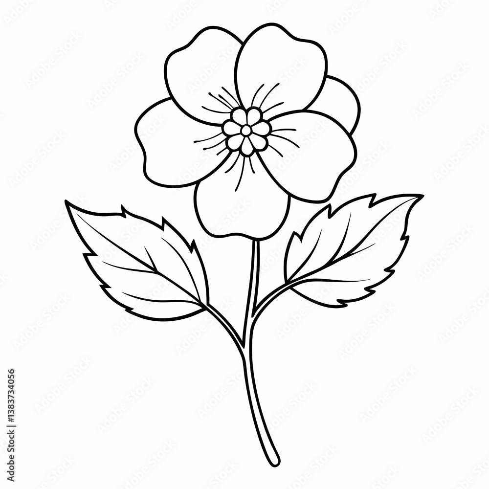 Obraz premium Potentilla Flower Outline Vector – Line Art Drawing for Coloring Book Page on White Background