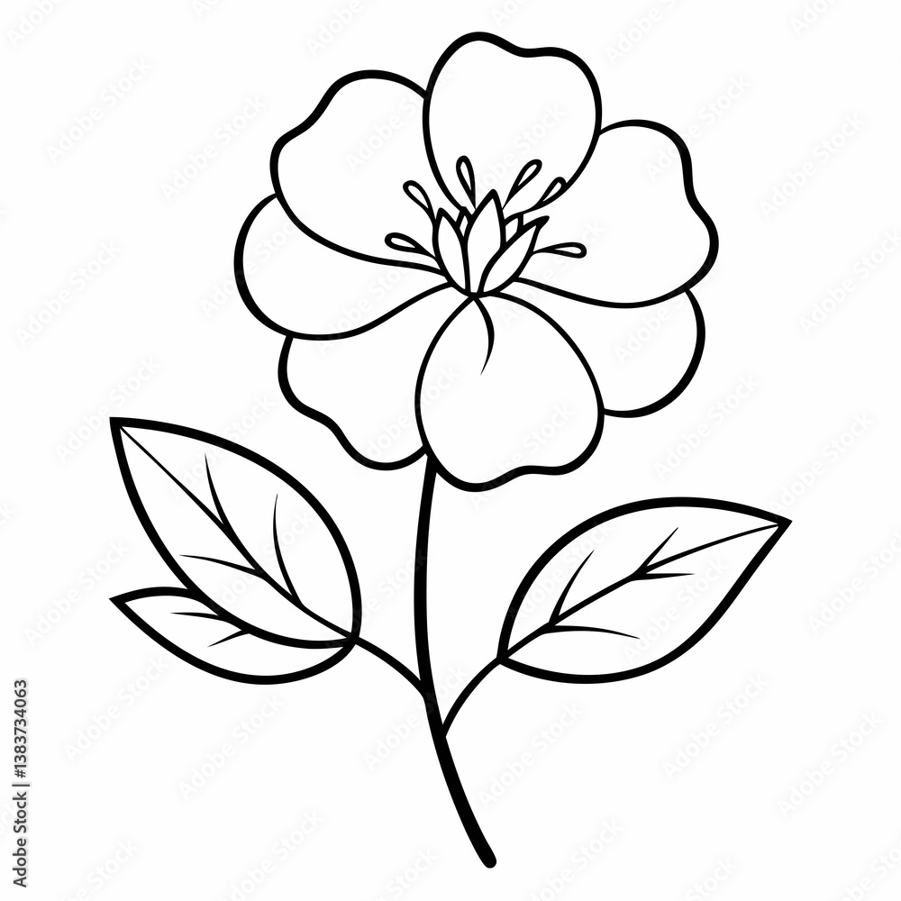 Fototapeta premium Potentilla Flower Outline Vector – Line Art Drawing for Coloring Book Page on White Background