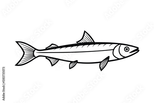 herring fish isolated on white background