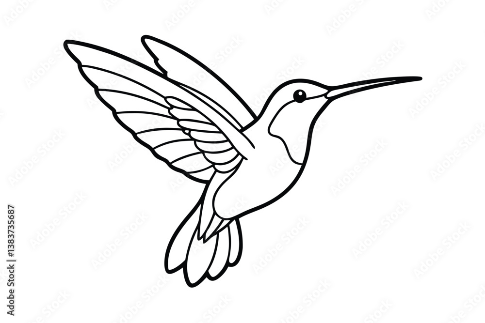 Obraz premium hummingbird vector illustration