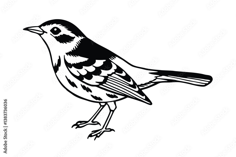Obraz premium blackburnian warbler bird on a branch of a tree