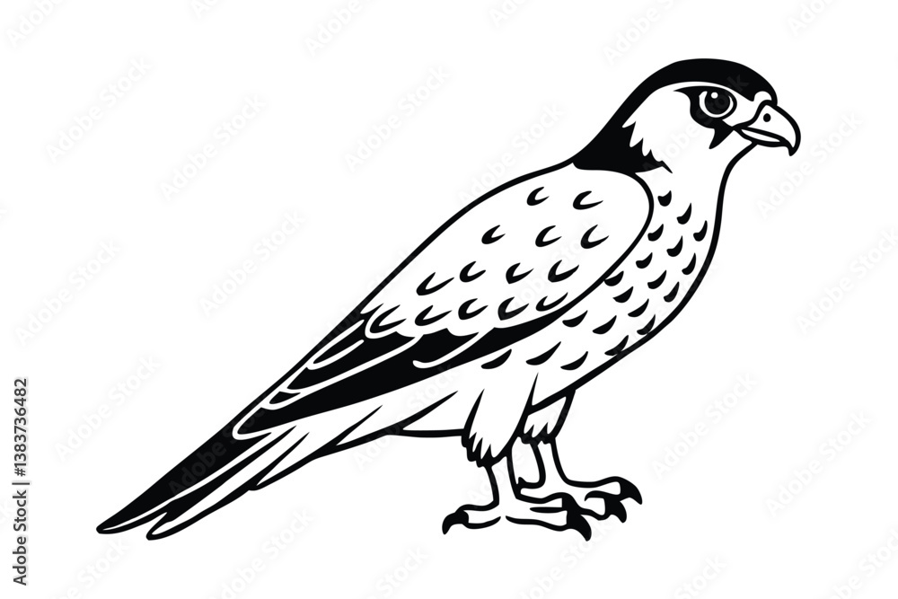 Fototapeta premium falcon on a white background