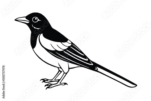 oriole bird on a branch