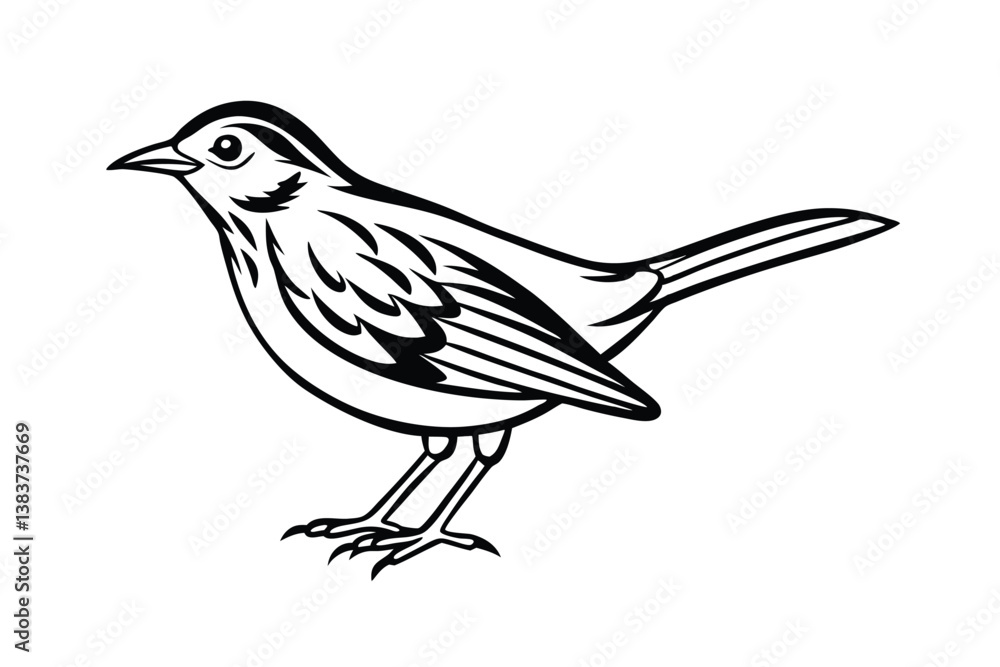 vector illustration of a ovenbird vector illustration of a ovenbird