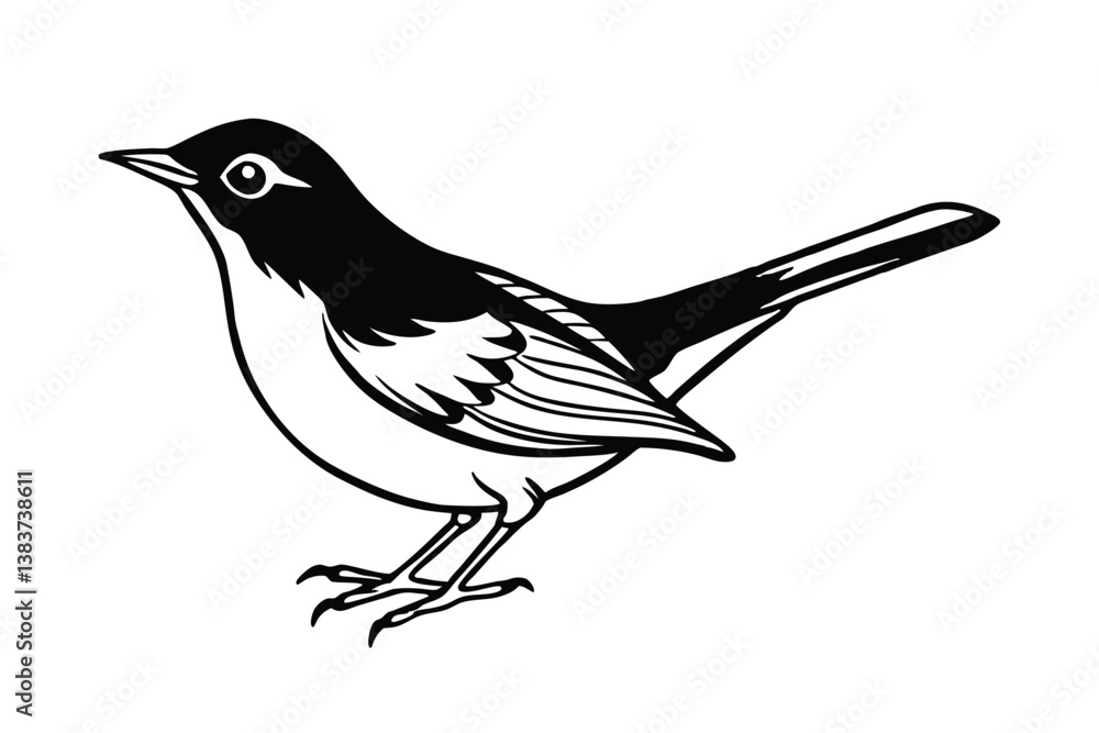 Obraz premium warbler bird on a white background