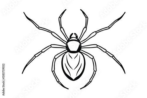 spider on a white background