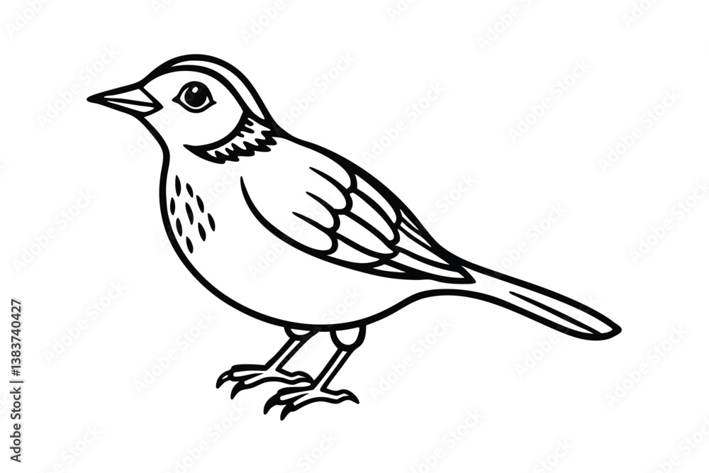 Fototapeta premium skylark of a bird