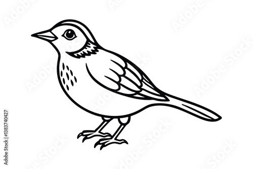 skylark of a bird