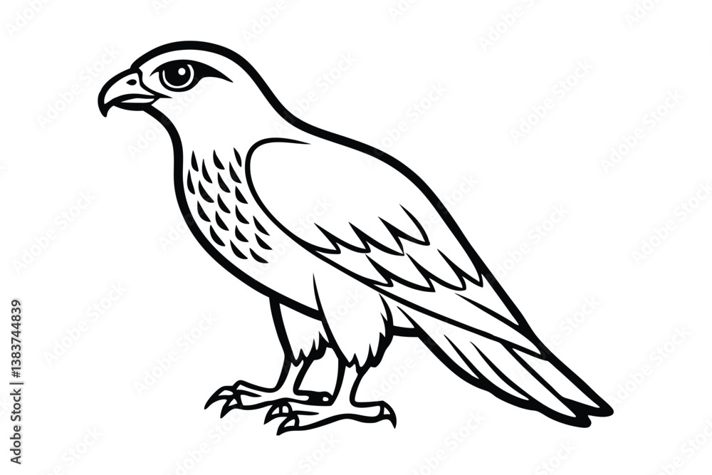 Fototapeta premium eagle isolated on white background