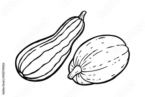 vector illustration of vegetables