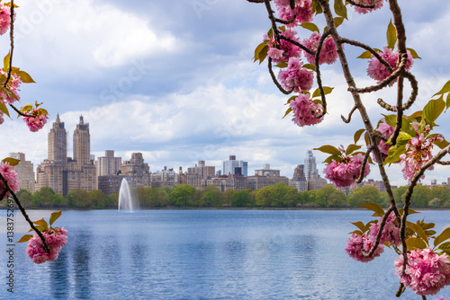 Spring in the city; Cherry Blossoms in NYC, Jacqueline Kennedy Onassis Reservoir, Central Park